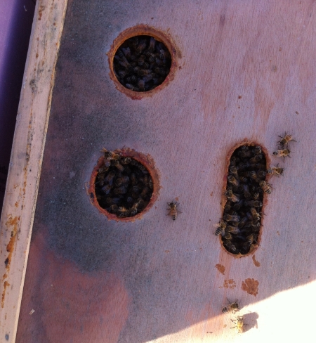 inner cover with holes
              drilled in for mason jars to sit directly on them